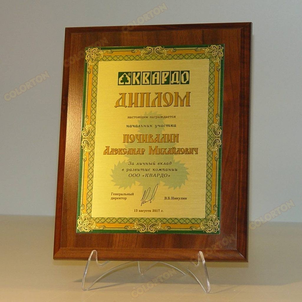 изображение диплома Почивалину Александру